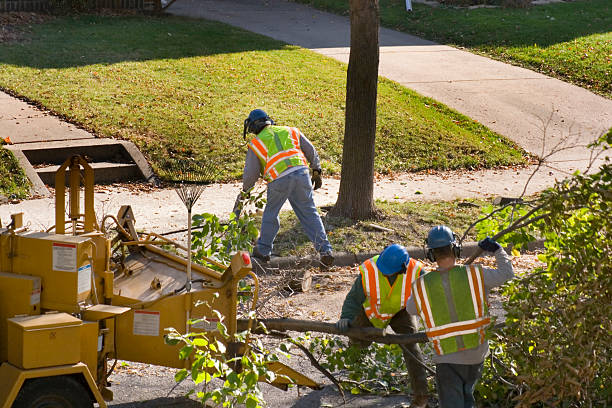  , IL Tree Services Pros